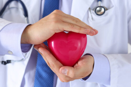 doctor holding fake heart.