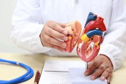 Structural Heart Disease