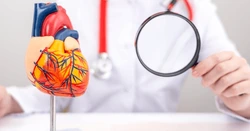 Structural Heart